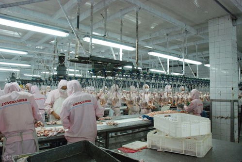 月薪近万的工厂工作，为何抢不过日晒风吹的外卖骑手？——从“基础电信业务”角度透视职业选择变迁